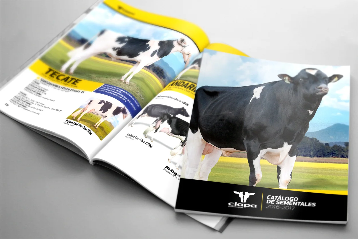 CIAPA Embriogen: catalogue, editorial design by CropWave Creatives, image 1