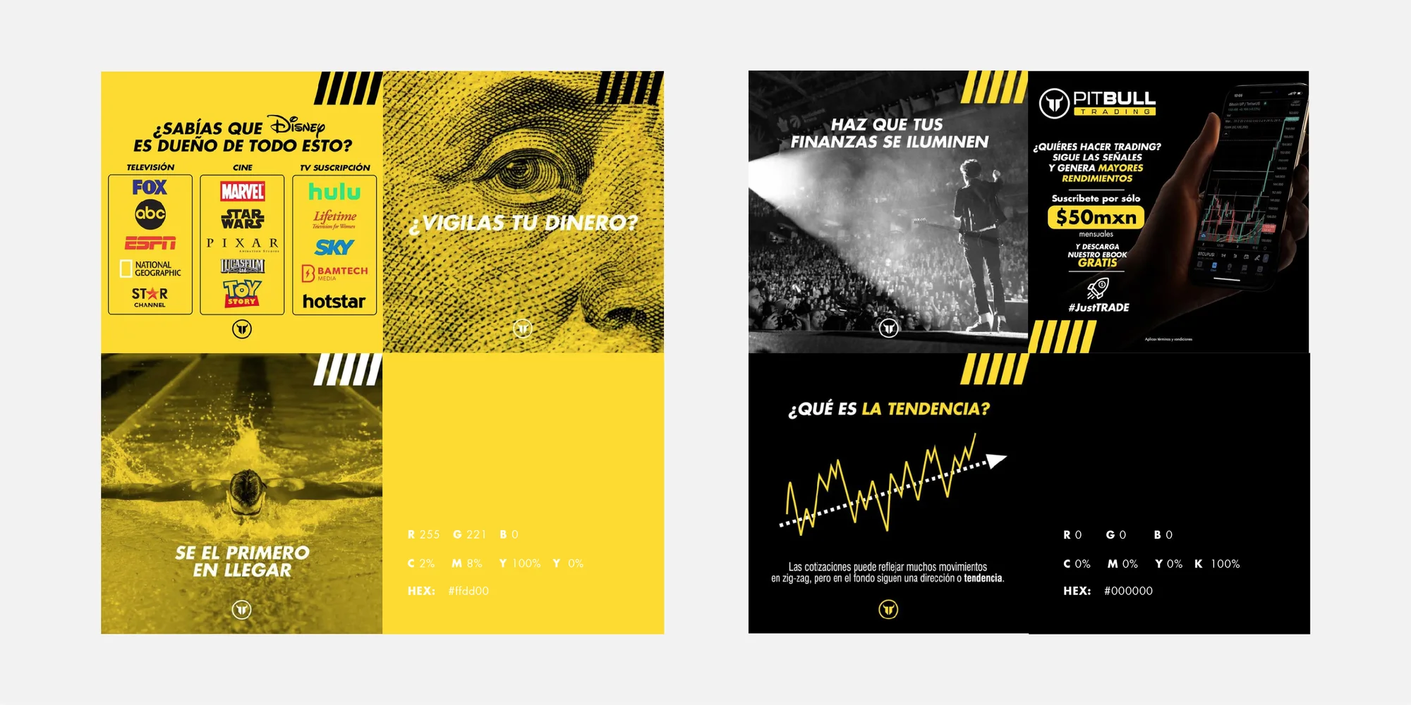 Pitbull Trading: brand identity, logo design, social media, website by CropWave Creatives, image 6
